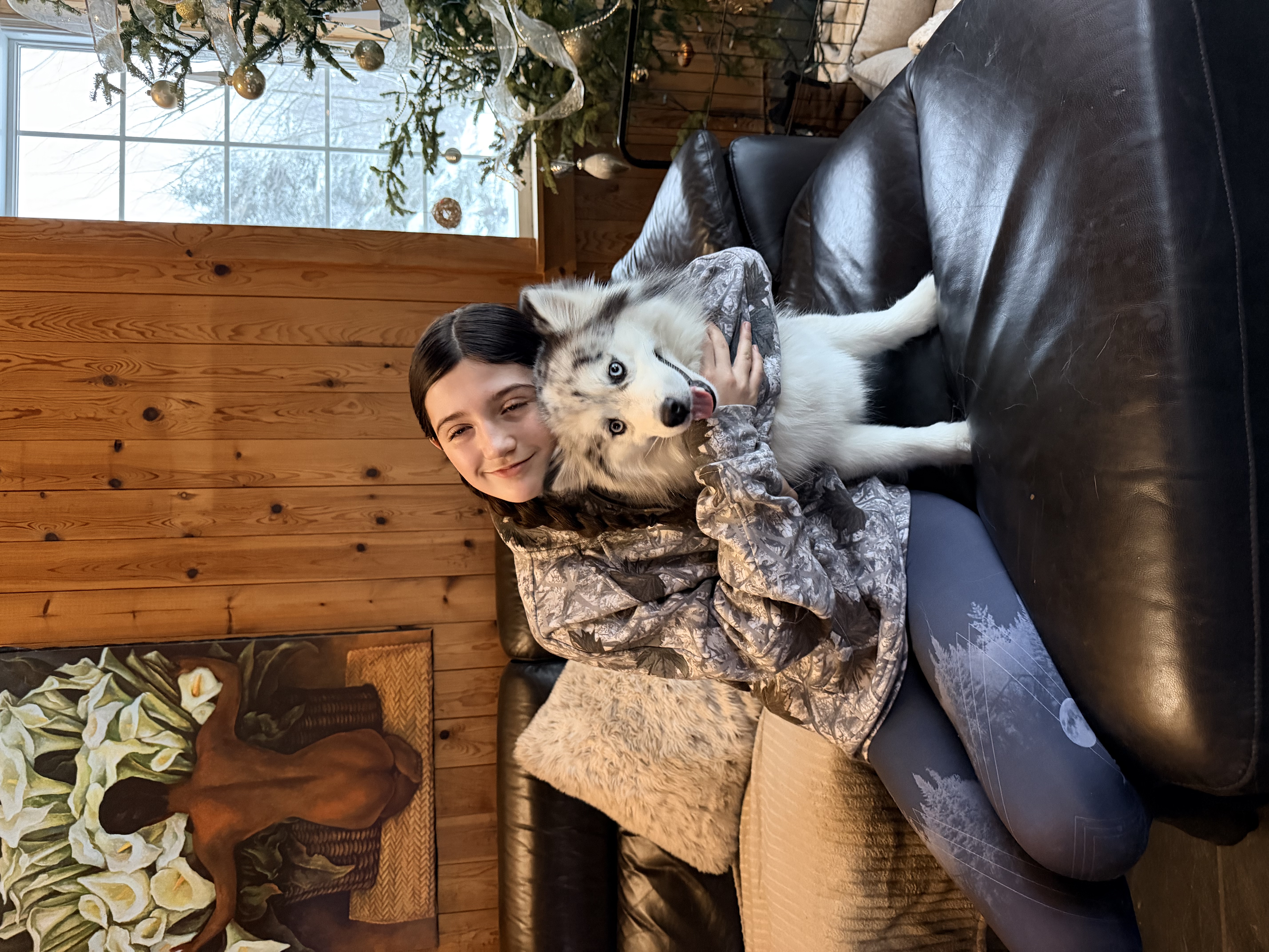 Photo Pomsky